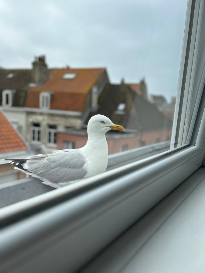 Experience Malouine - Appt T3-Coeur De Malo-Plage Dunkirk Exteriör bild